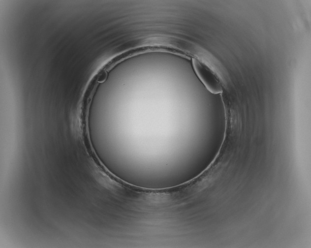 X0000112391068200908131544