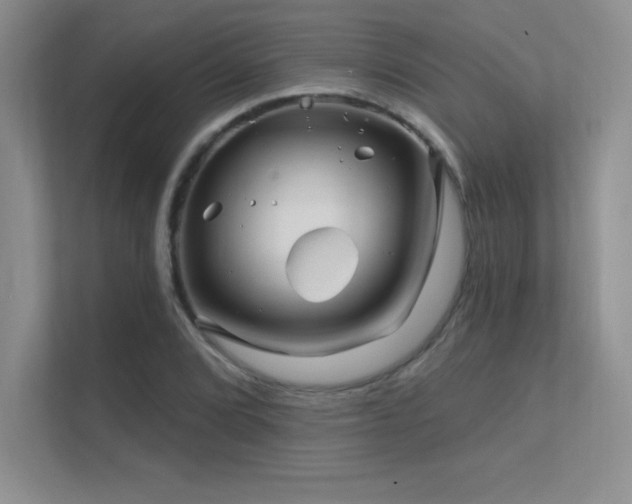 X0000112391072200908131544