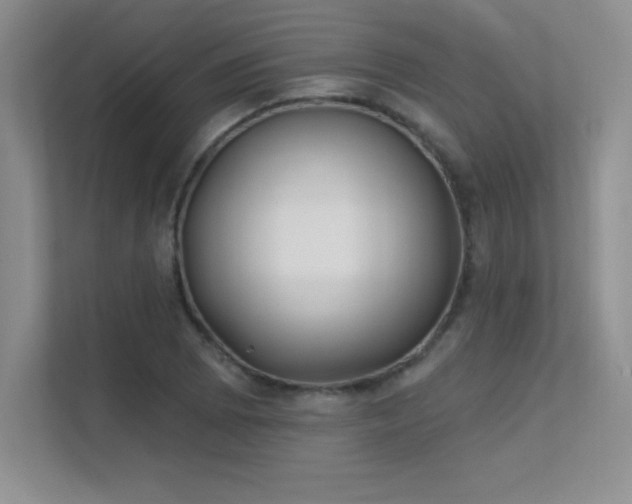 X0000112391073200908131544