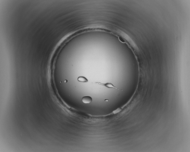 X0000112391076200908131544