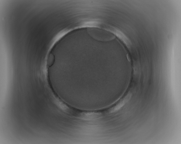 X0000112391077200908131544