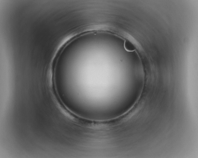 X0000112391079200908131544