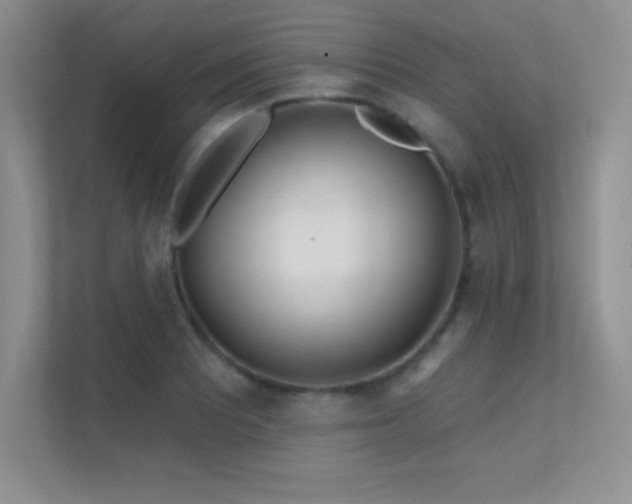 X0000112391081200908131544