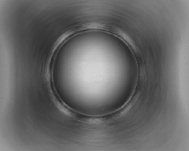 X0000112391082200908131544