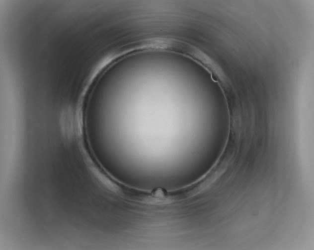 X0000112391083200908131544