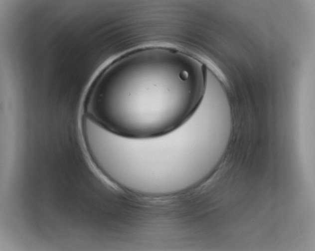 X0000112391084200908131544