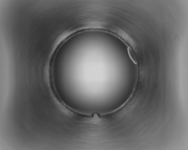 X0000112391085200908131544