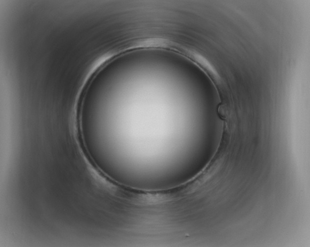 X0000112391087200908131544