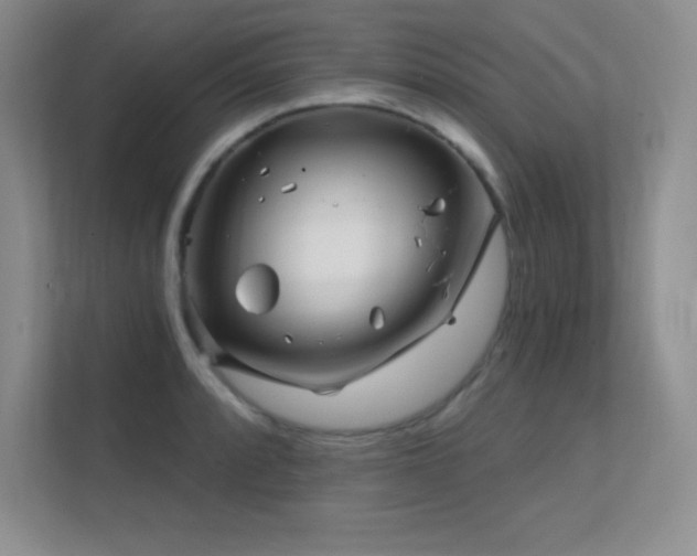 X0000112391088200908131544