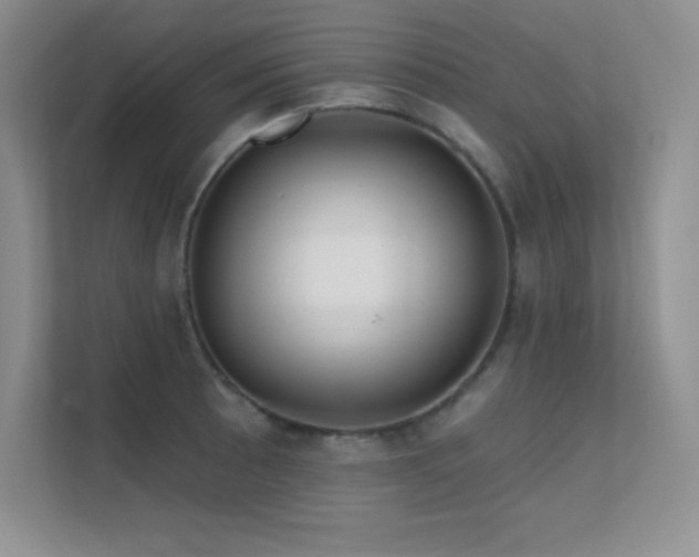 X0000112391089200908131544