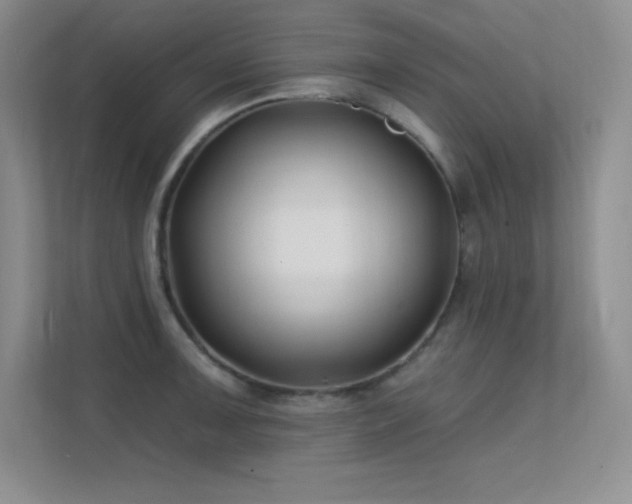 X0000112391091200908131544