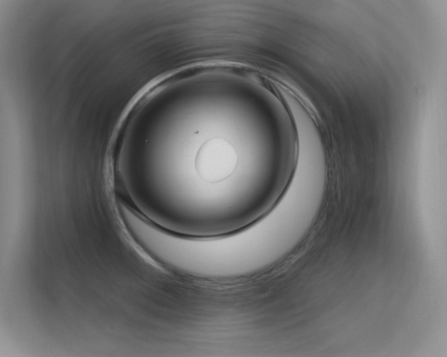 X0000112391092200908131544