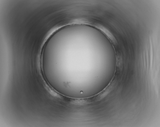 X0000112391094200908131544