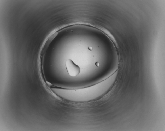 X0000112391096200908131544