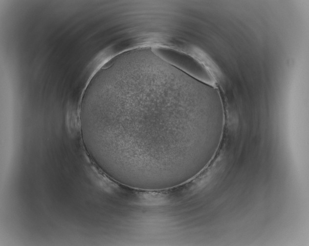 X0000112391097200908131544