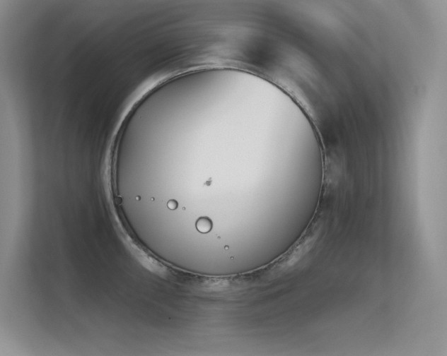 X0000112391098200908131544