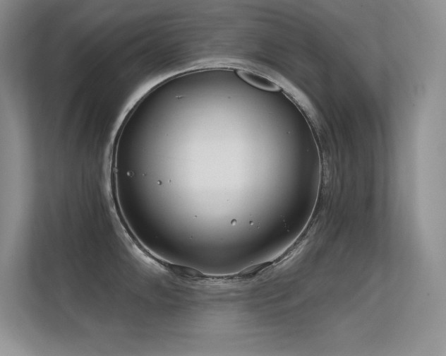 X0000112391102200908131544