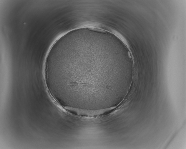 X0000112391104200908131544