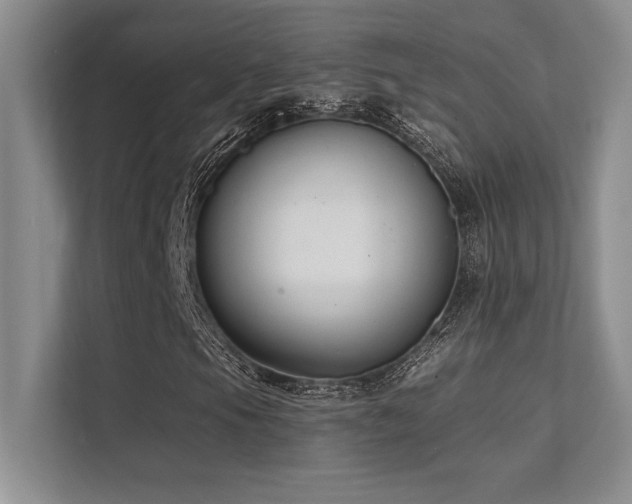 X0000112391105200908131543