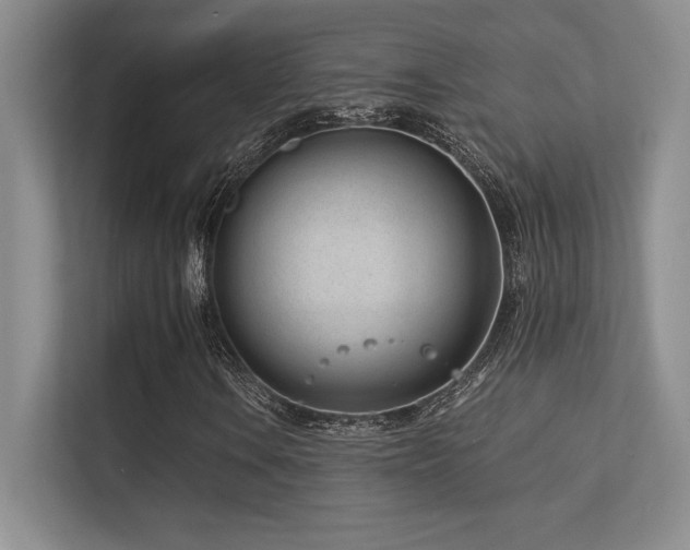 X0000112391106200908131543