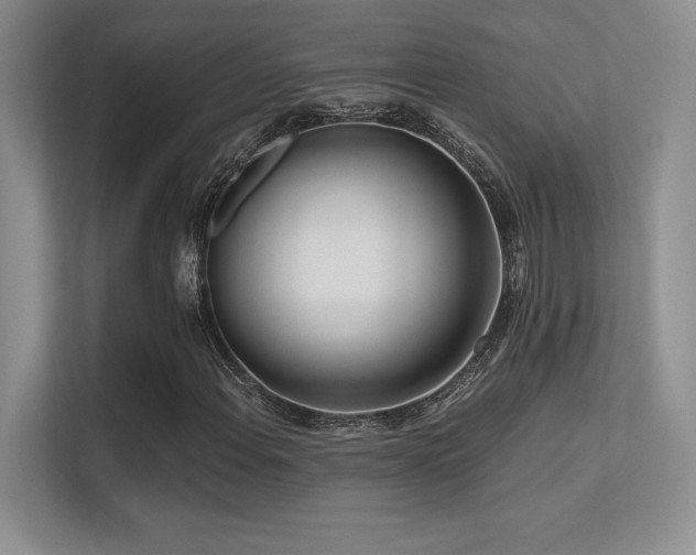 X0000112391108200908131543