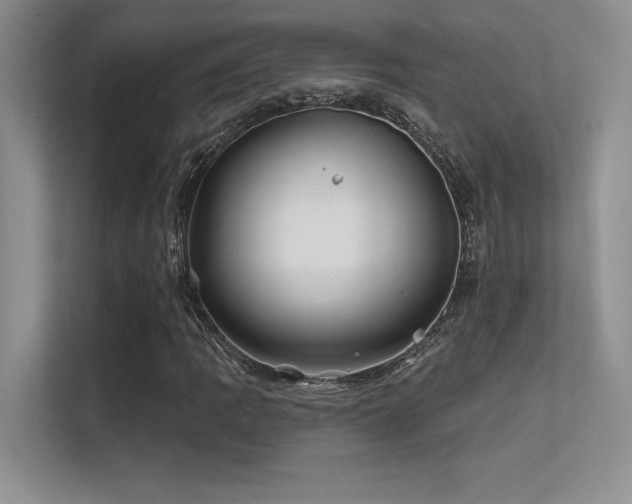 X0000112391109200908131543