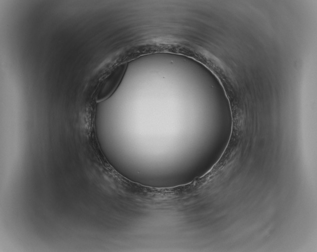 X0000112391110200908131543