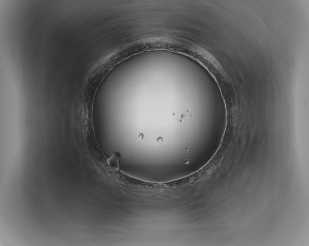 X0000112391111200908131543