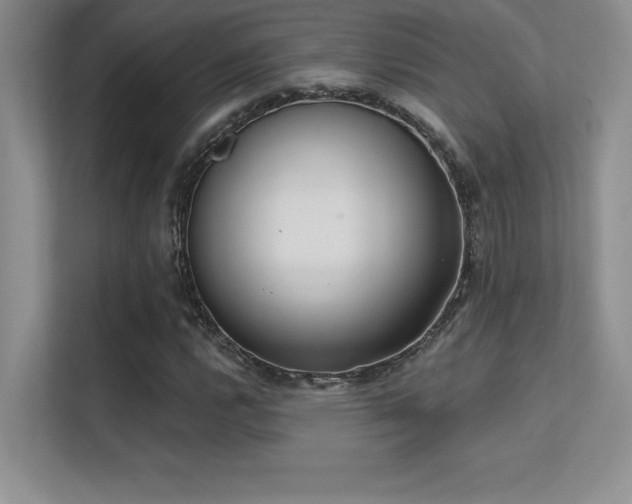 X0000112391112200908131543