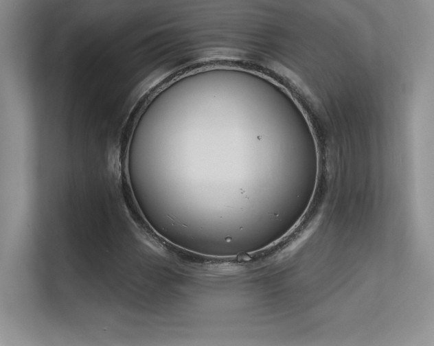 X0000112391113200908131543