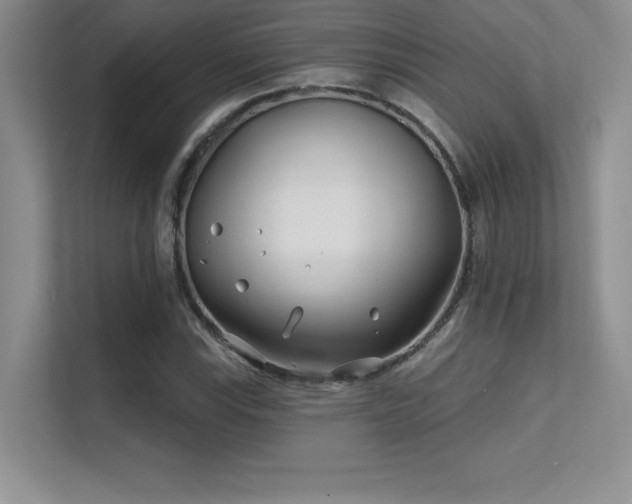 X0000112391115200908131543