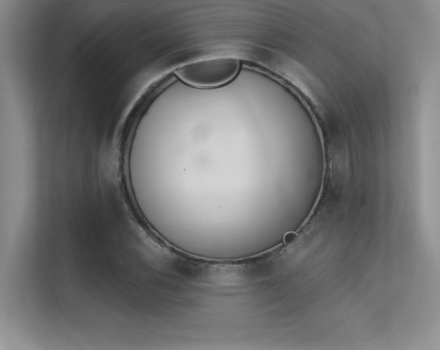 X0000112391116200908131543