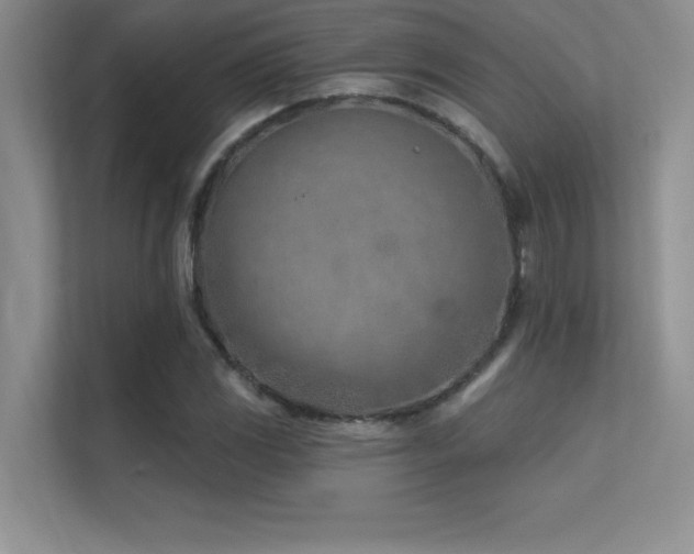 X0000112391117200908131543