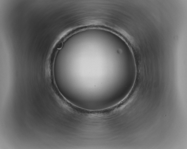 X0000112391118200908131543