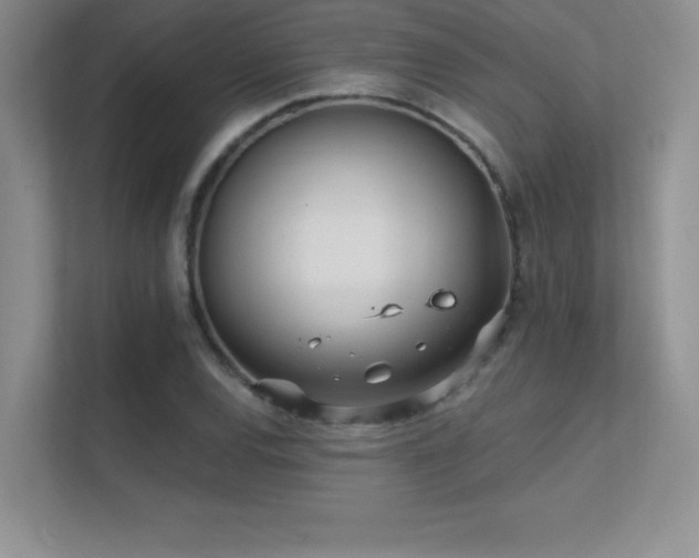 X0000112391120200908131543