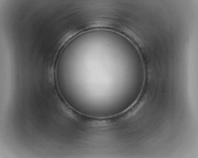 X0000112391121200908131543