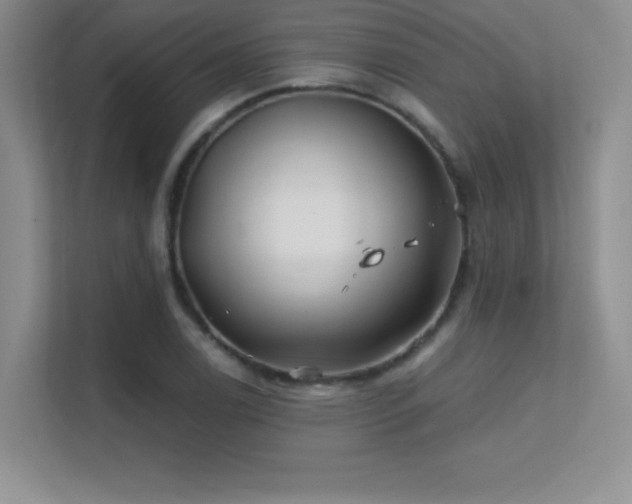 X0000112391122200908131543