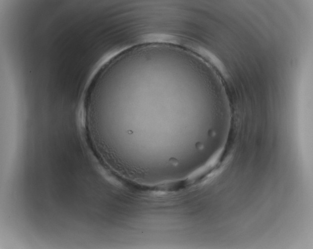 X0000112391125200908131543