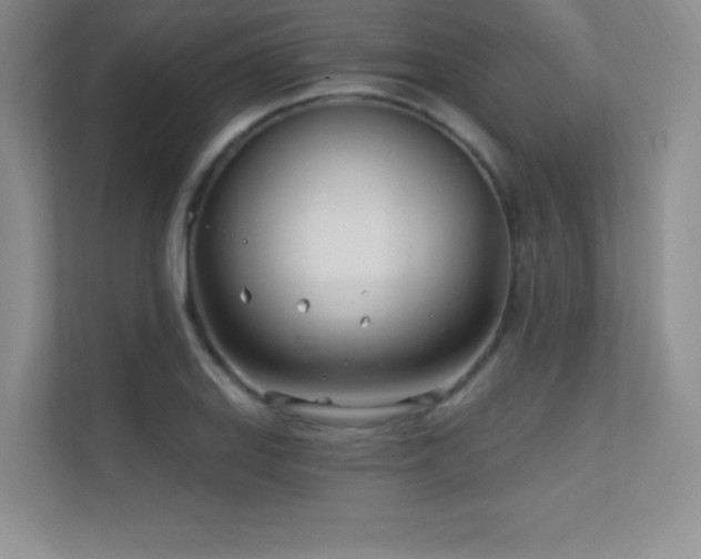 X0000112391127200908131543