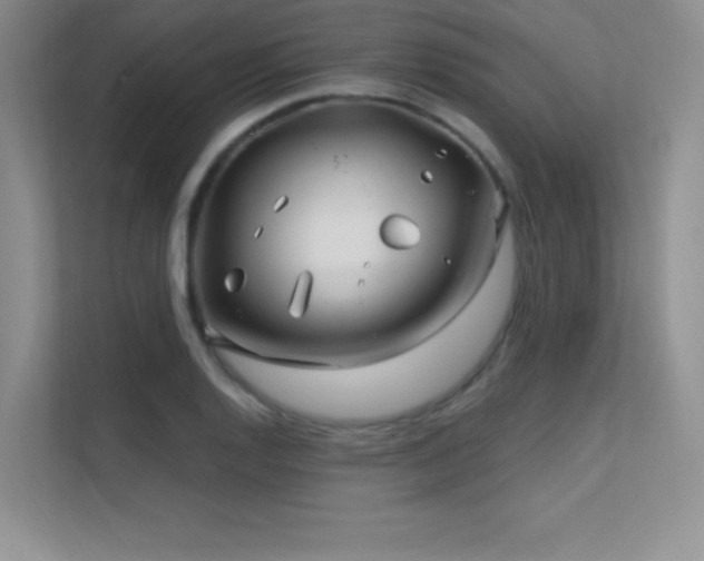 X0000112391128200908131543