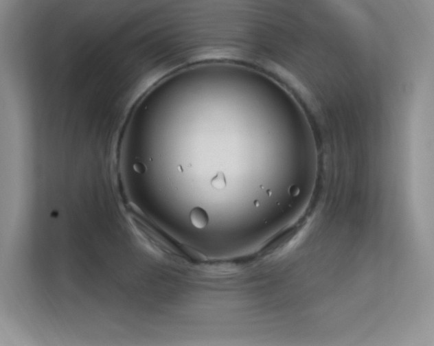 X0000112391129200908131543