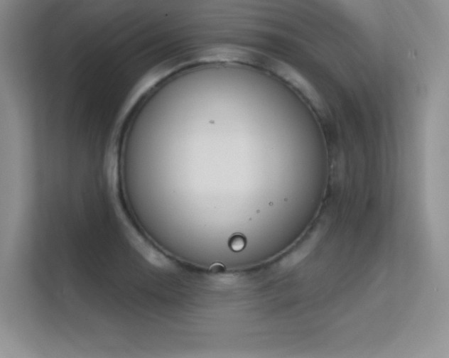 X0000112391130200908131543