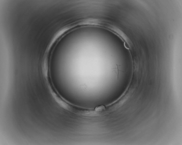 X0000112391131200908131543