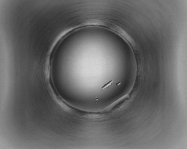 X0000112391132200908131543