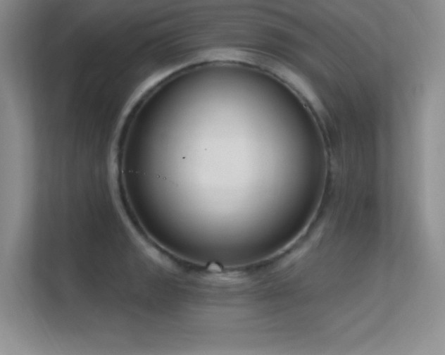 X0000112391133200908131544