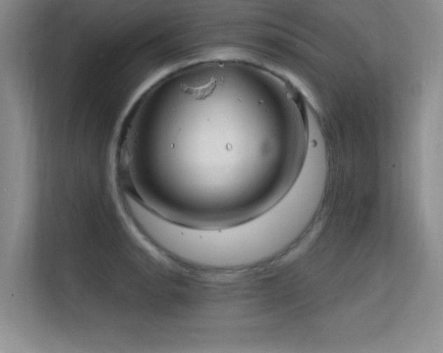 X0000112391134200908131544