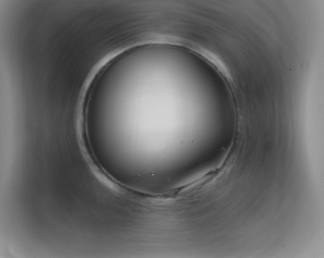 X0000112391136200908131544