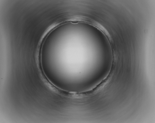 X0000112391138200908131544