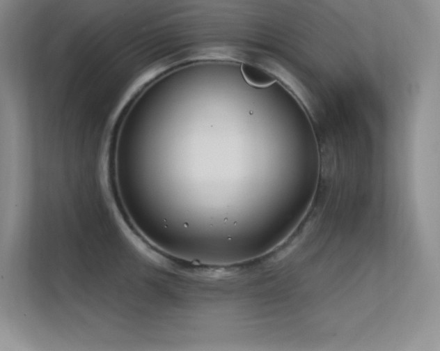 X0000112391139200908131544