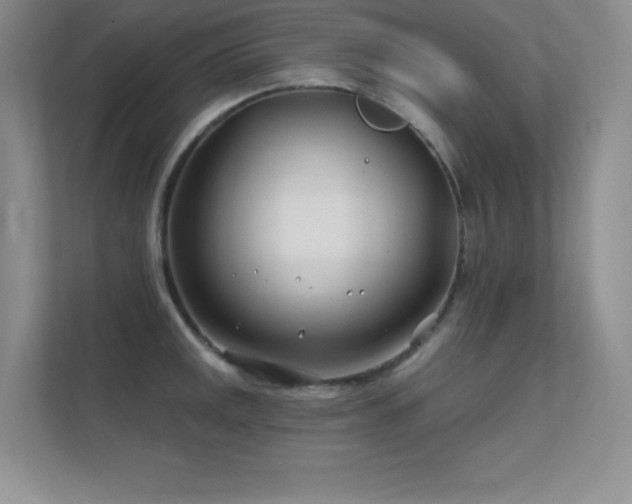 X0000112391141200908131544